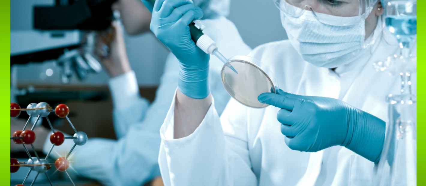 Những điều kiện ảnh hưởng đến quá trình tạo GABA